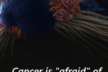 Thumbnail for Cancer is “afraid” of these 8 foods.