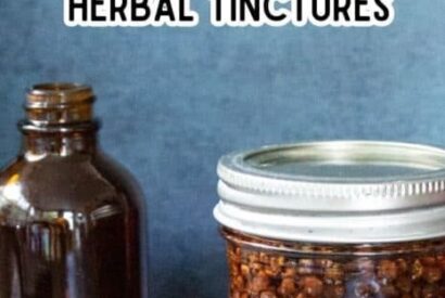 Thumbnail for The 1 Mistake I Made When Starting Herbal Tinctures: Choosing the Wrong Alcohol