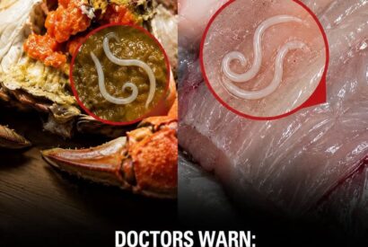 Thumbnail for Doctors Issue Urgent Warning: Stop Eating These 4 Everyday Foods Immediately Before They Destroy Your Body From the Inside Out!