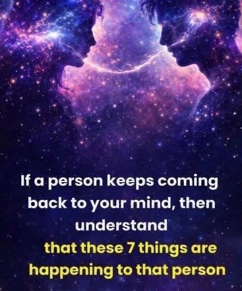 WhatsApp Image 2026-08-09 at 23.24.43