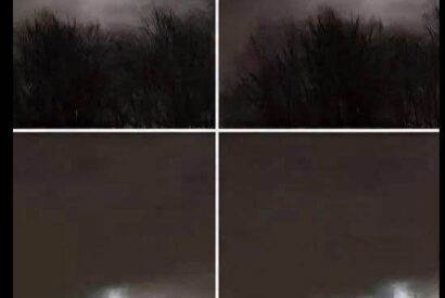 Thumbnail for My Brother Took This