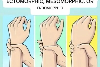 Thumbnail for Are you an ectomorph, mesomorph, or endomorph? Discover your body type and how to make the most of it.