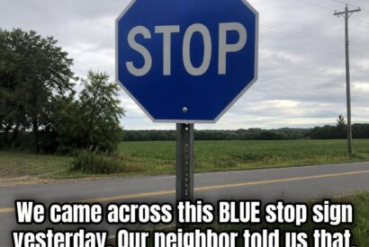 Thumbnail for The Meaning Behind a Blue Stop Sign