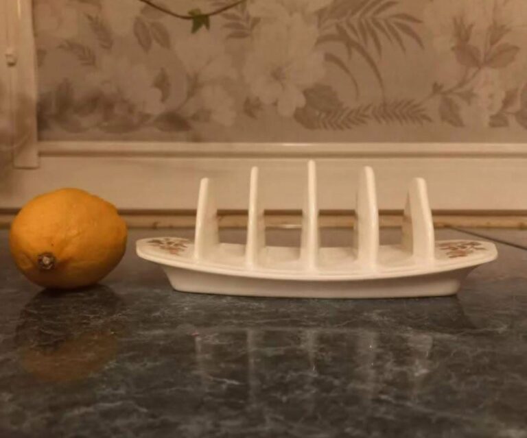 814768775_948819548304060_6502237719604156350_n