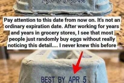 Thumbnail for A Gentle, Science-Backed Guide to Egg Carton Codes
