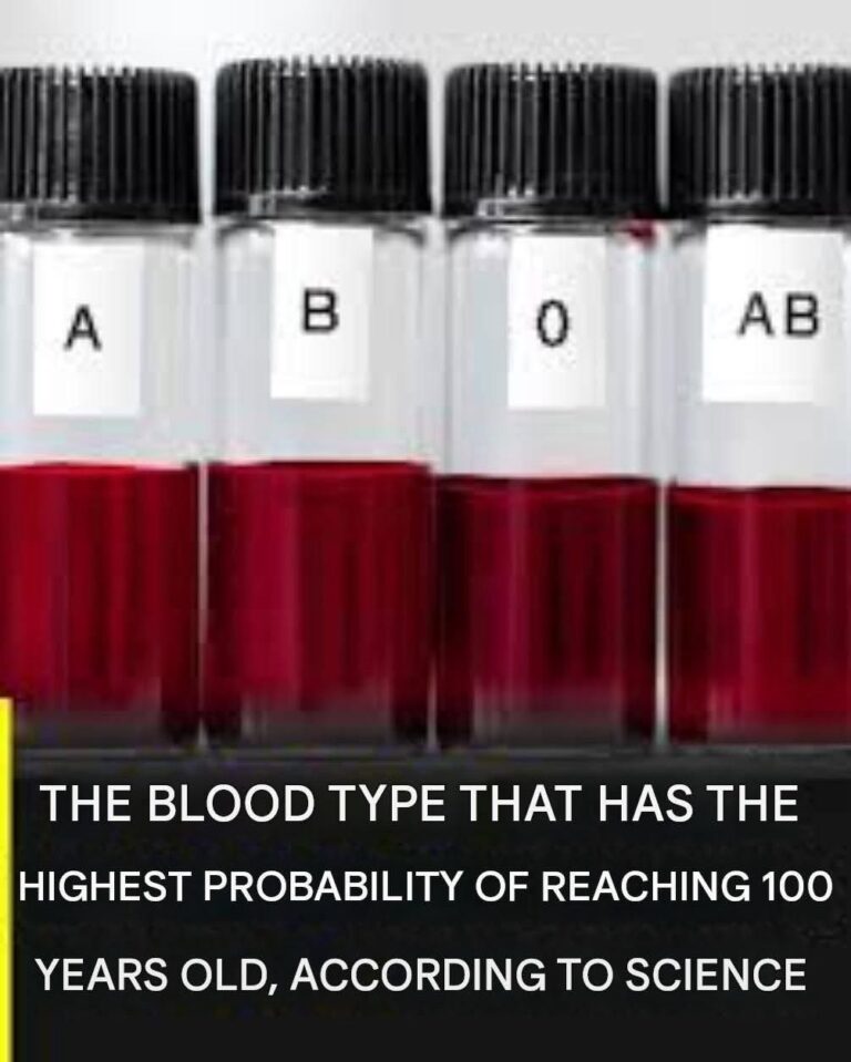 WhatsApp Image 2026-09-09 at 13.38.39