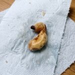 843658777_122267203604138518_2247143521654197043_n